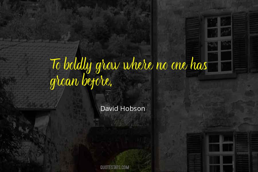 David Hobson Quotes #942227