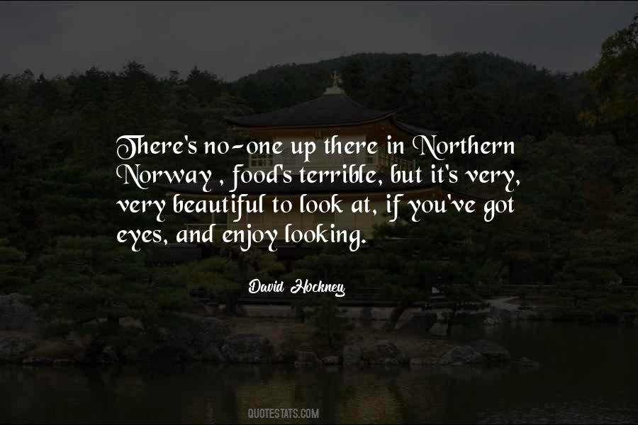 David Hockney Quotes #1593547