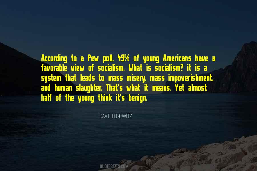 David Horowitz Quotes #25472