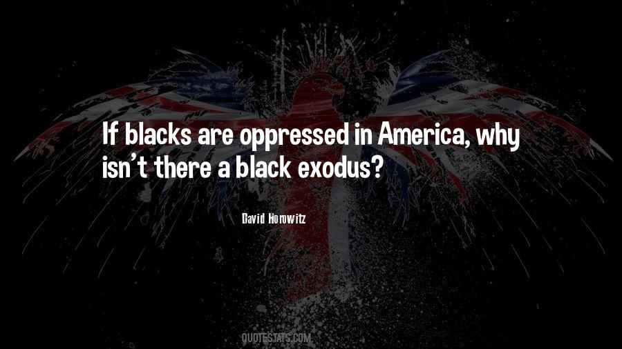 David Horowitz Quotes #278611