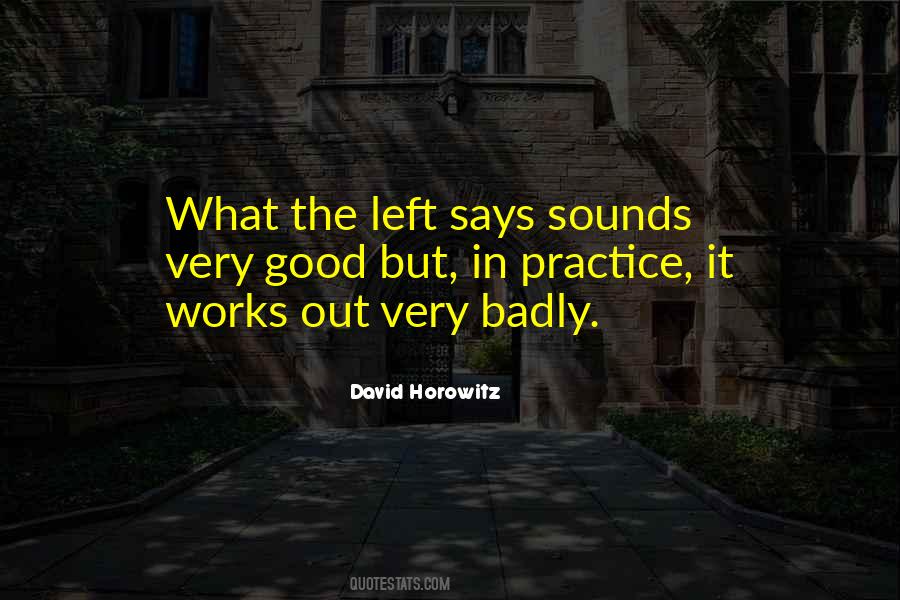 David Horowitz Quotes #62086