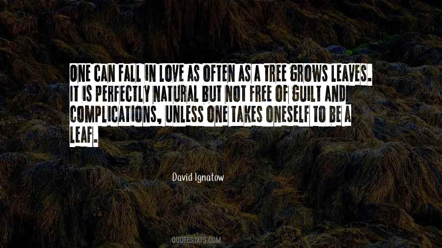 David Ignatow Quotes #53212