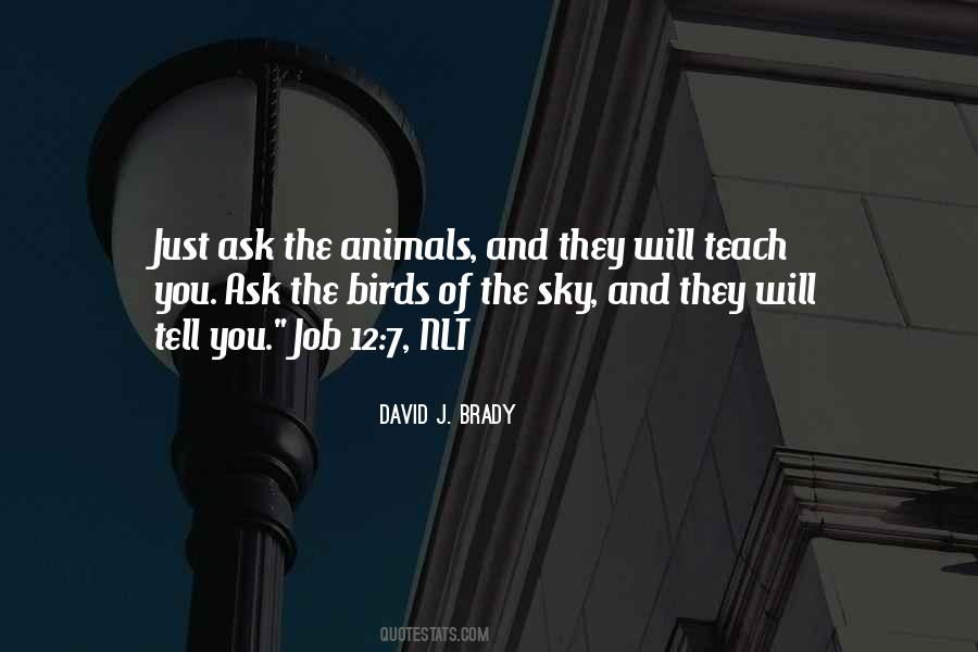 David J. Brady Quotes #1177537