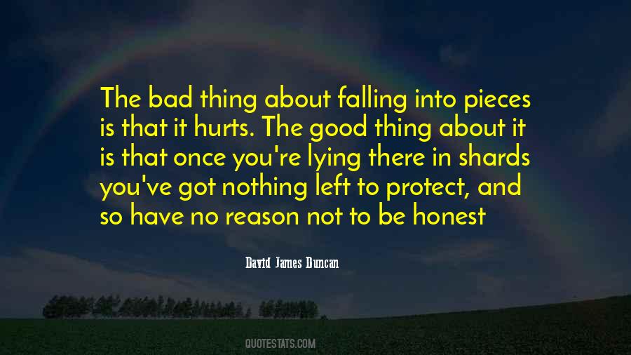 David James Duncan Quotes #674634 David James Duncan Quotes #674634