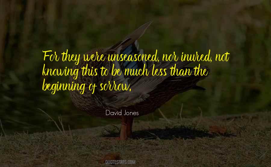 David Jones Quotes #1329100