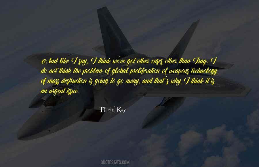 David Kay Quotes #1187453