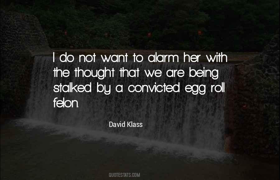 David Klass Quotes #804762