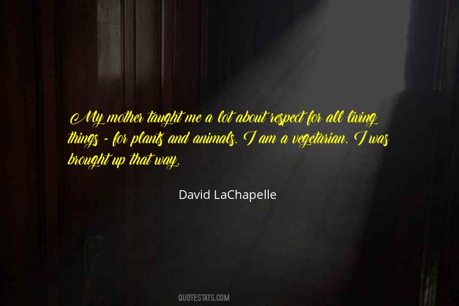 David LaChapelle Quotes #1408198