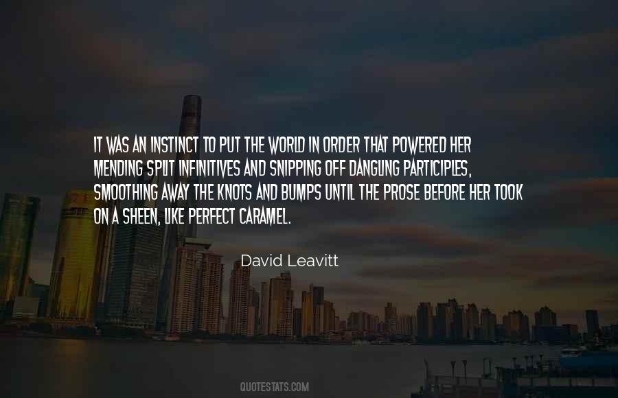 David Leavitt Quotes #1873576