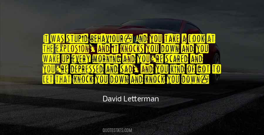 David Letterman Quotes #1249678