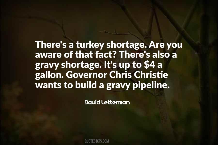 David Letterman Quotes #400635
