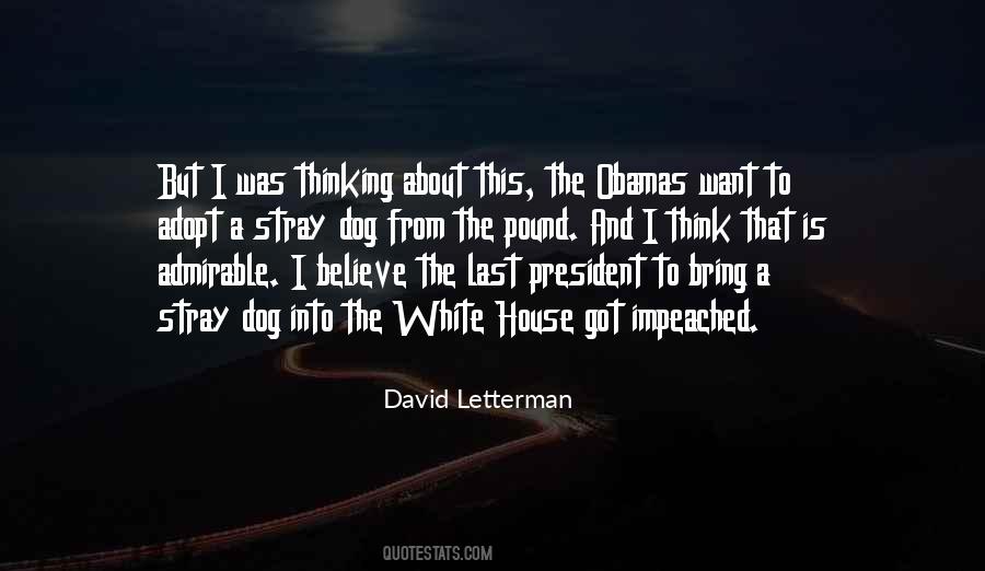 David Letterman Quotes #53459