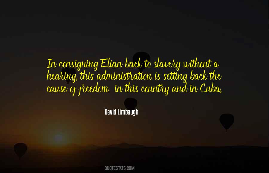 David Limbaugh Quotes #1327836