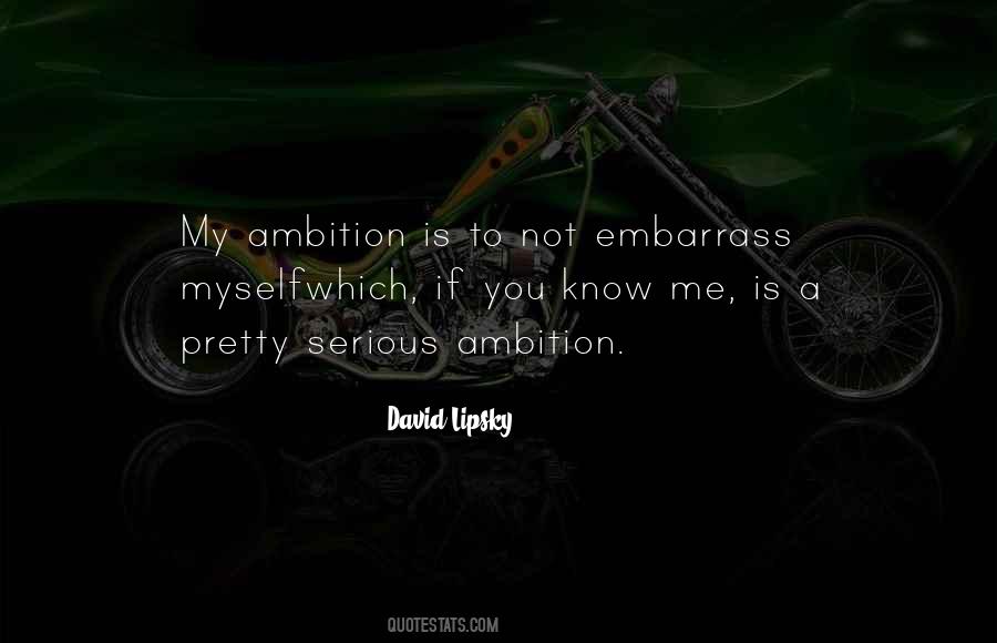 David Lipsky Quotes #1188336