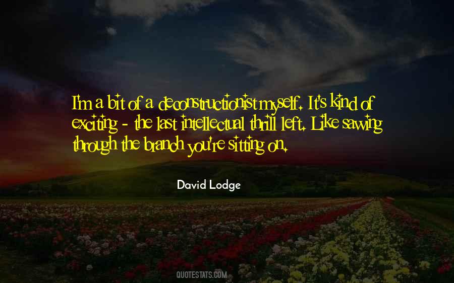 David Lodge Quotes #1519612