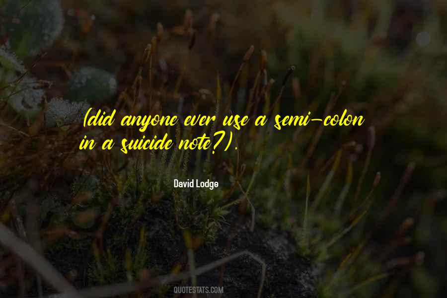 David Lodge Quotes #992232