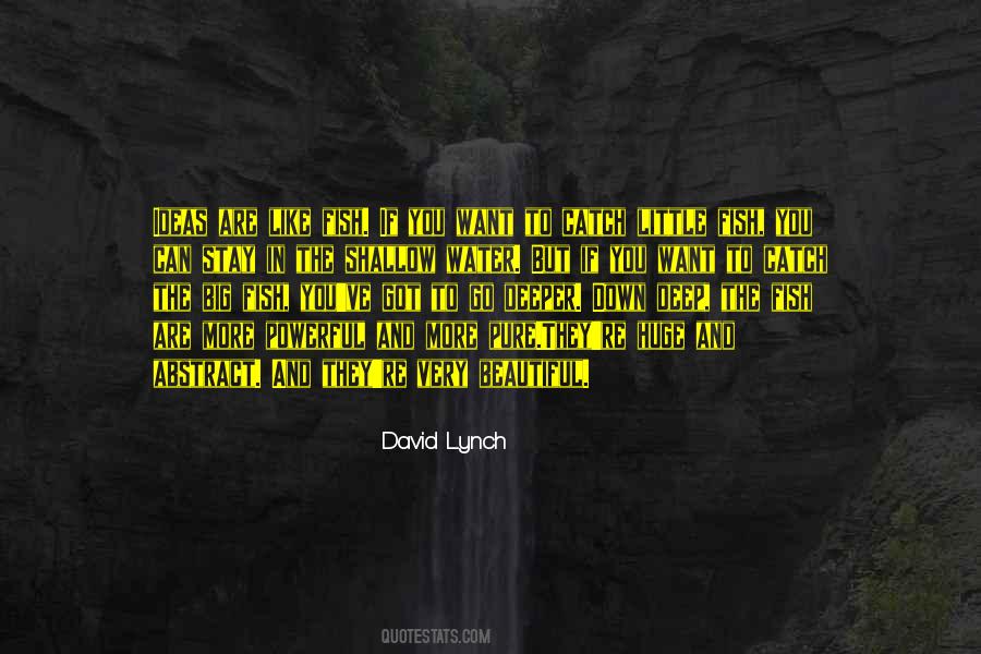 David Lynch Quotes #419563