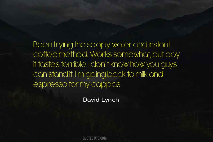 David Lynch Quotes #795873