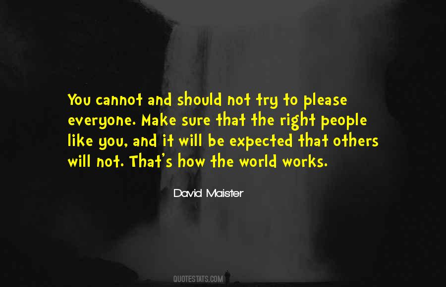 David Maister Quotes #1610104