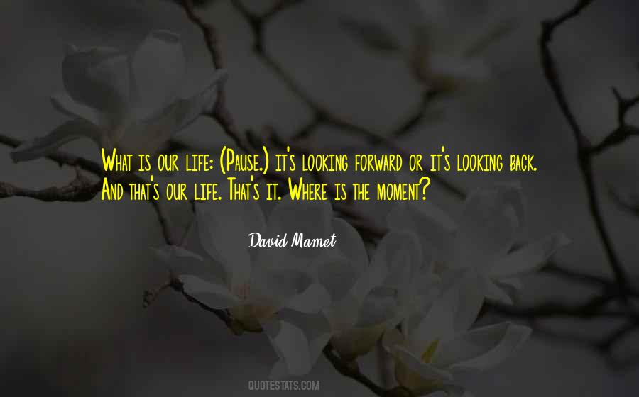 David Mamet Quotes #1020843