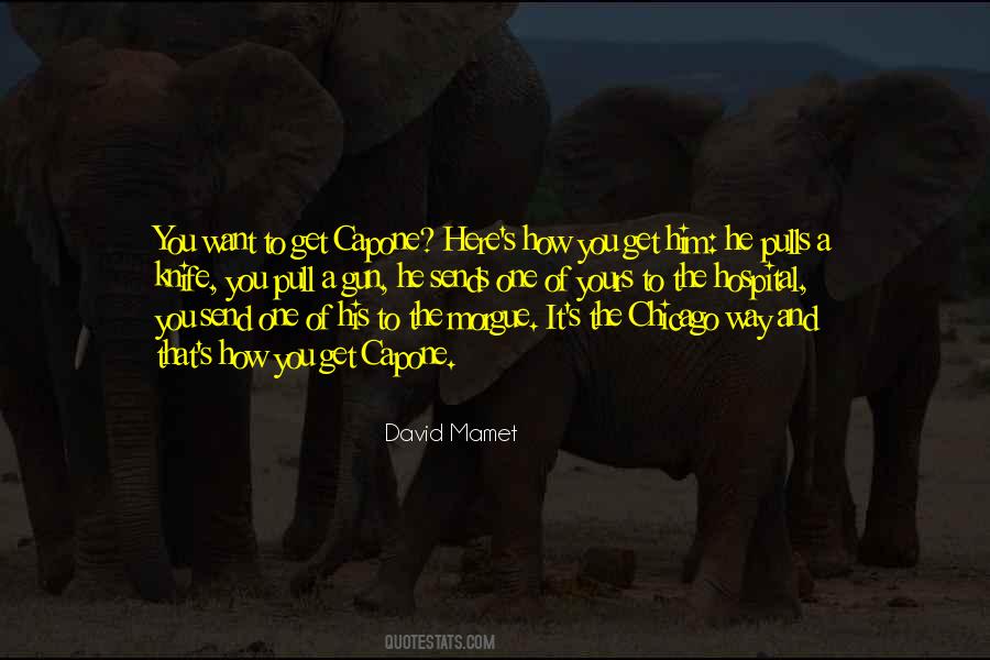 David Mamet Quotes #778167