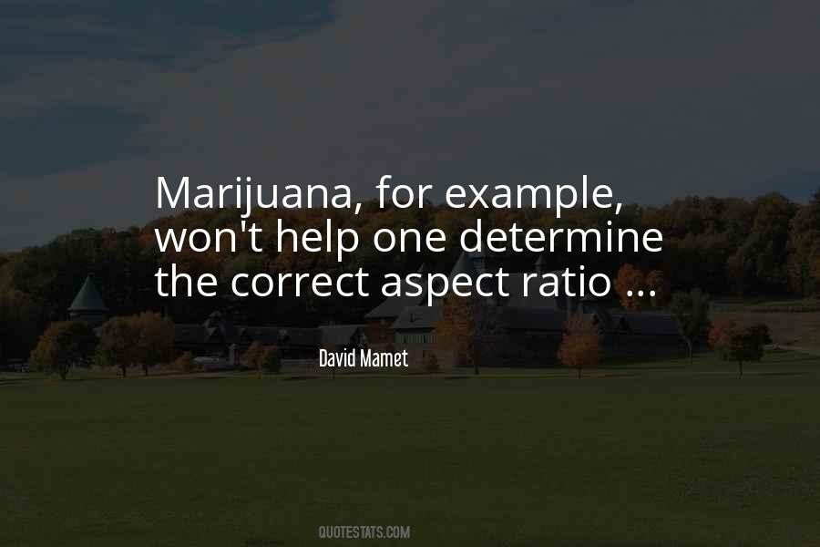 David Mamet Quotes #79534