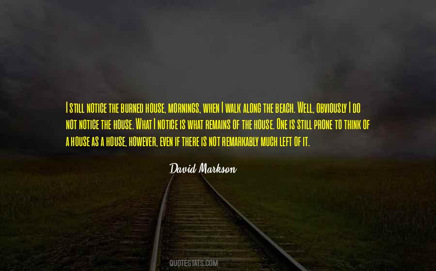 David Markson Quotes #1247217
