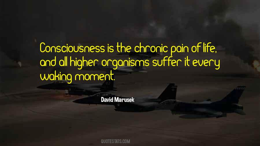 David Marusek Quotes #805867