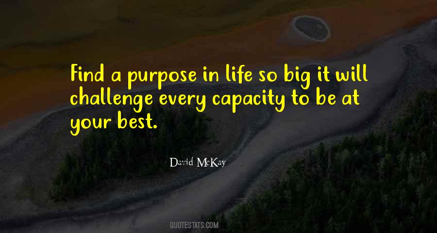 David McKay Quotes #427329 David McKay Quotes #427329