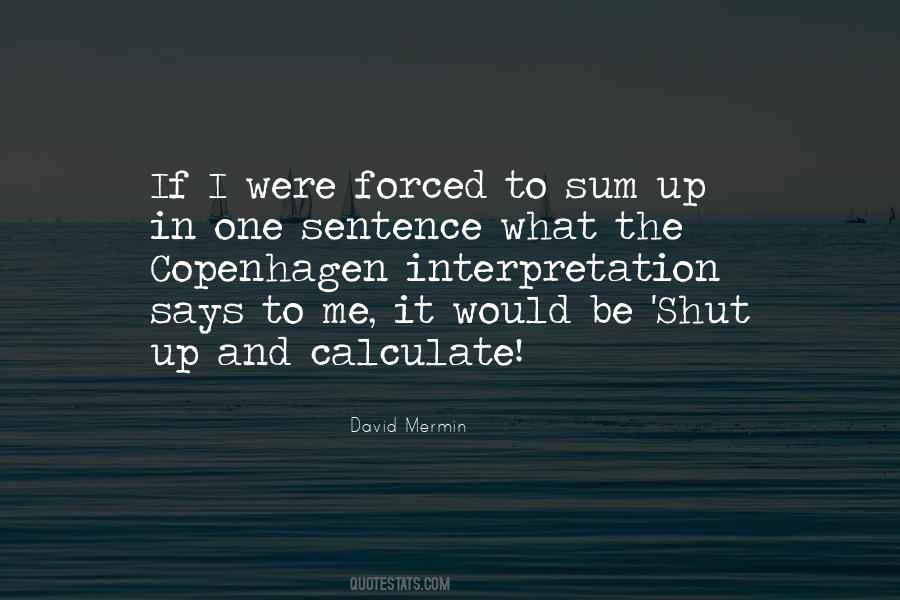 David Mermin Quotes #339506