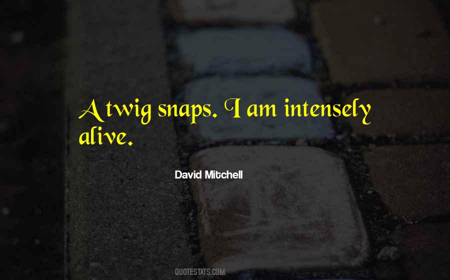 David Mitchell Quotes #439491