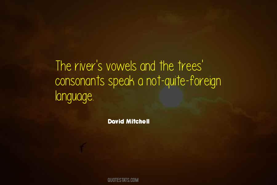 David Mitchell Quotes #640163