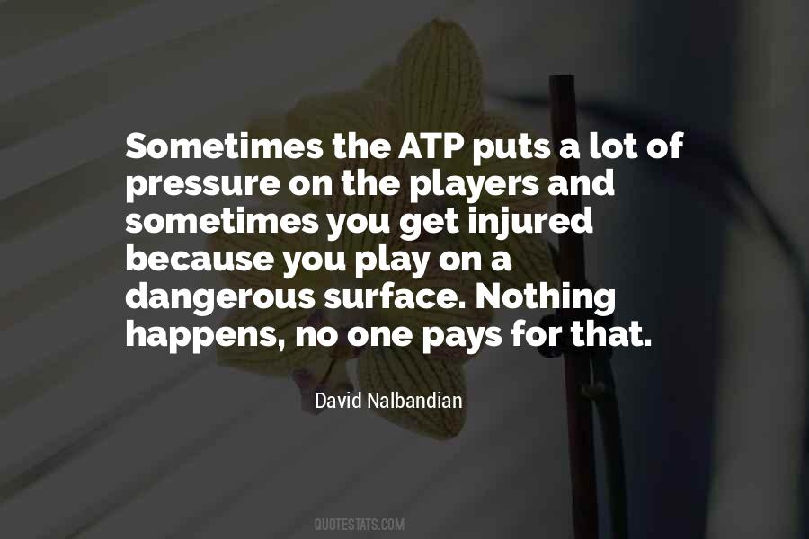 David Nalbandian Quotes #1682870