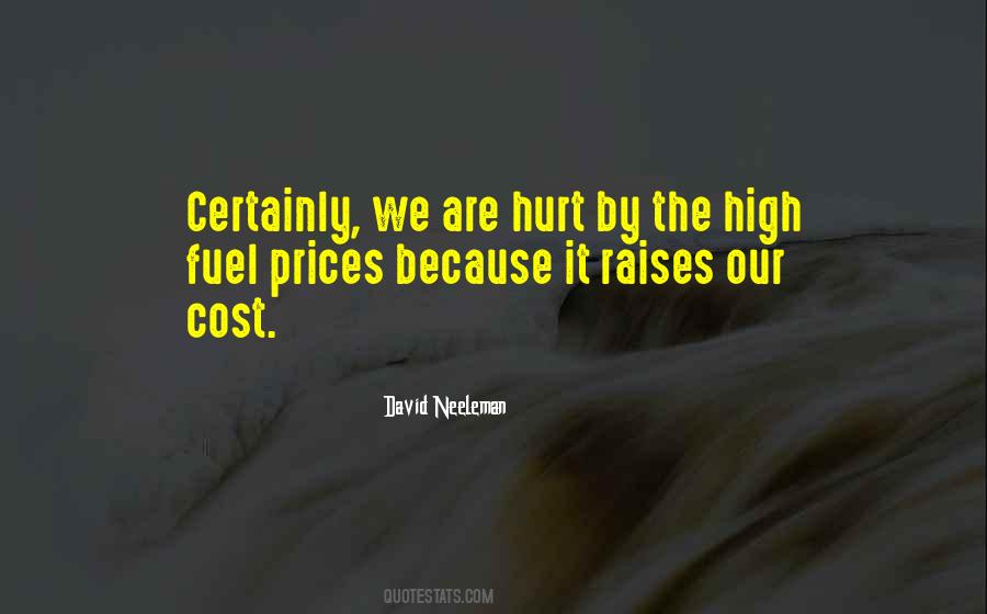 David Neeleman Quotes #813787