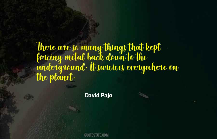 David Pajo Quotes #1704255