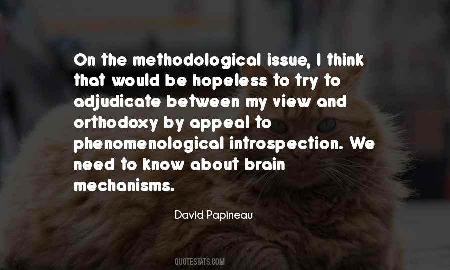 David Papineau Quotes #1591421