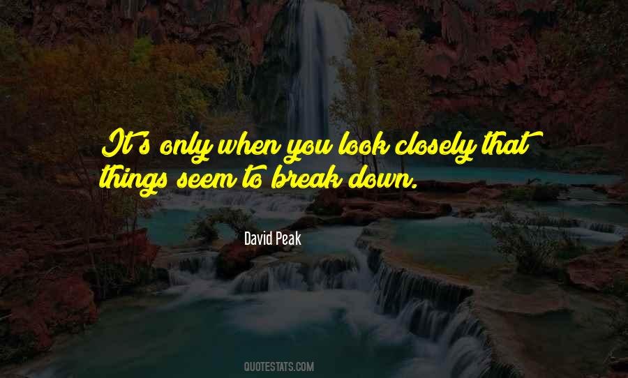 David Peak Quotes #1171672