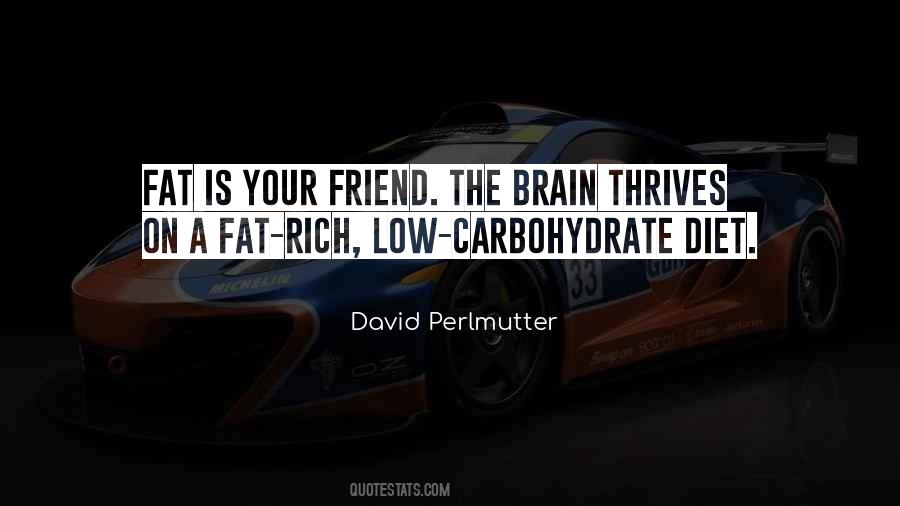 David Perlmutter Quotes #1090205