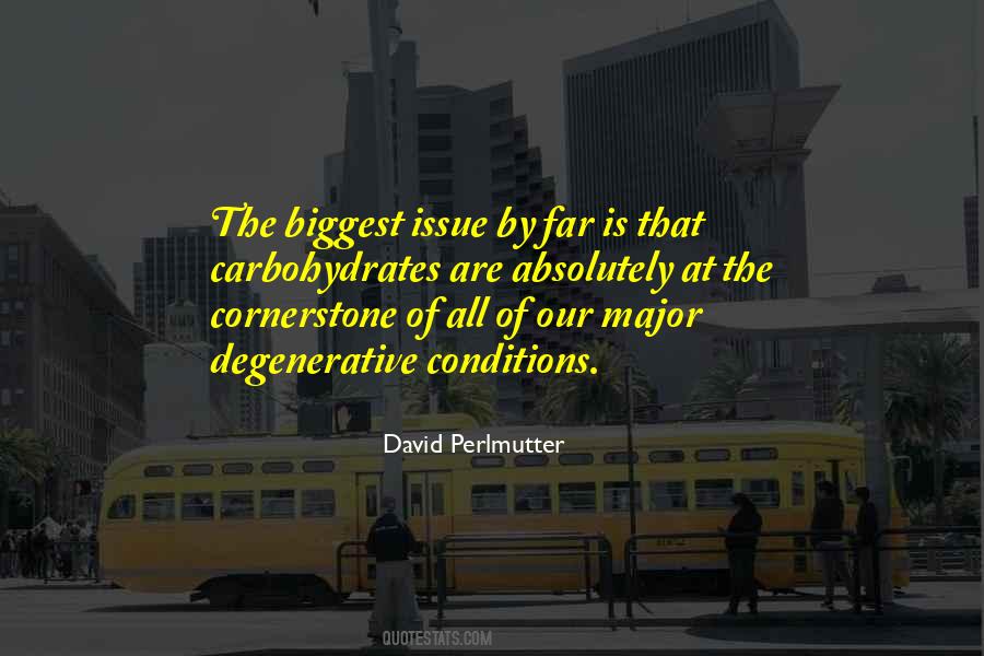 David Perlmutter Quotes #1701638