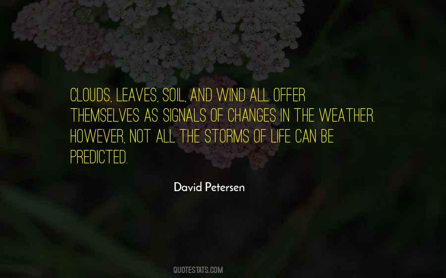 David Petersen Quotes #23217