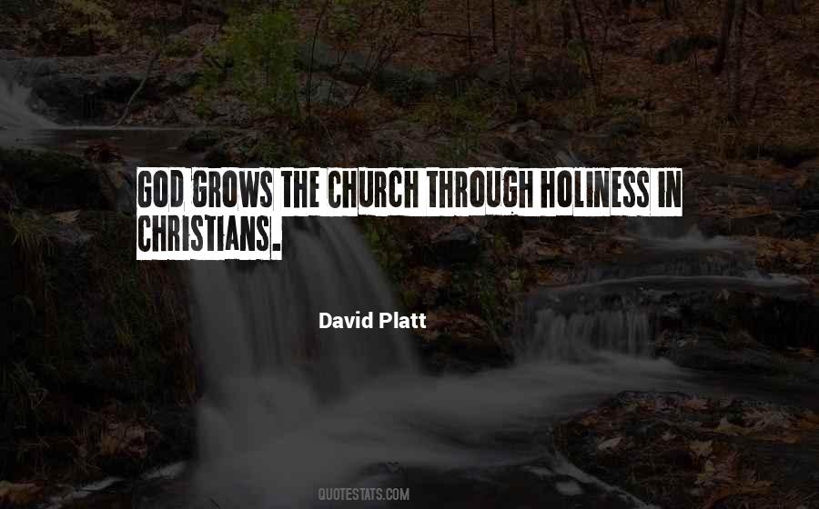 David Platt Quotes #1341731