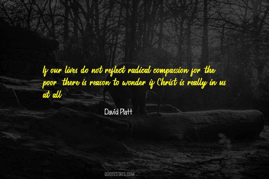 David Platt Quotes #1603894