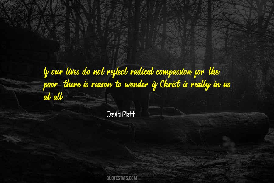 David Platt Quotes #1603894