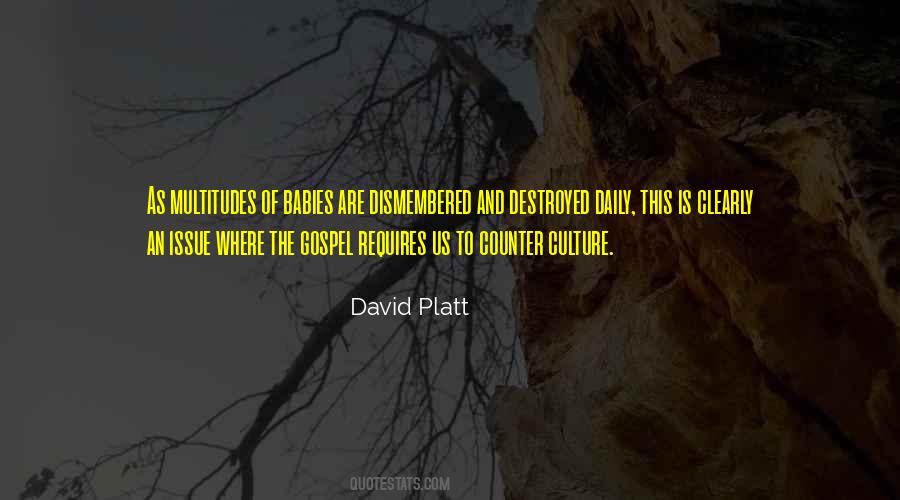 David Platt Quotes #1642982