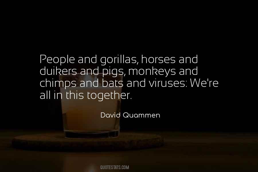 David Quammen Quotes #1374464