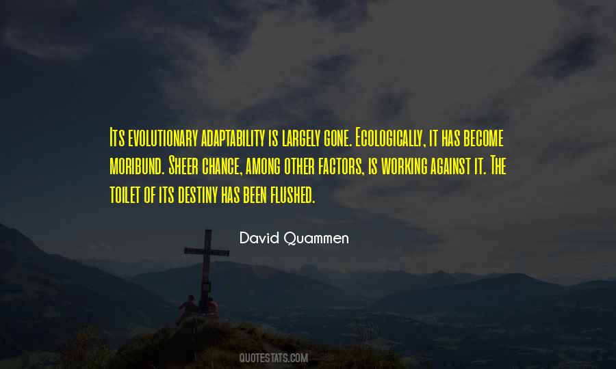 David Quammen Quotes #508797