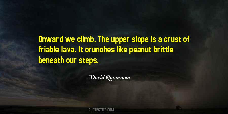 David Quammen Quotes #534941