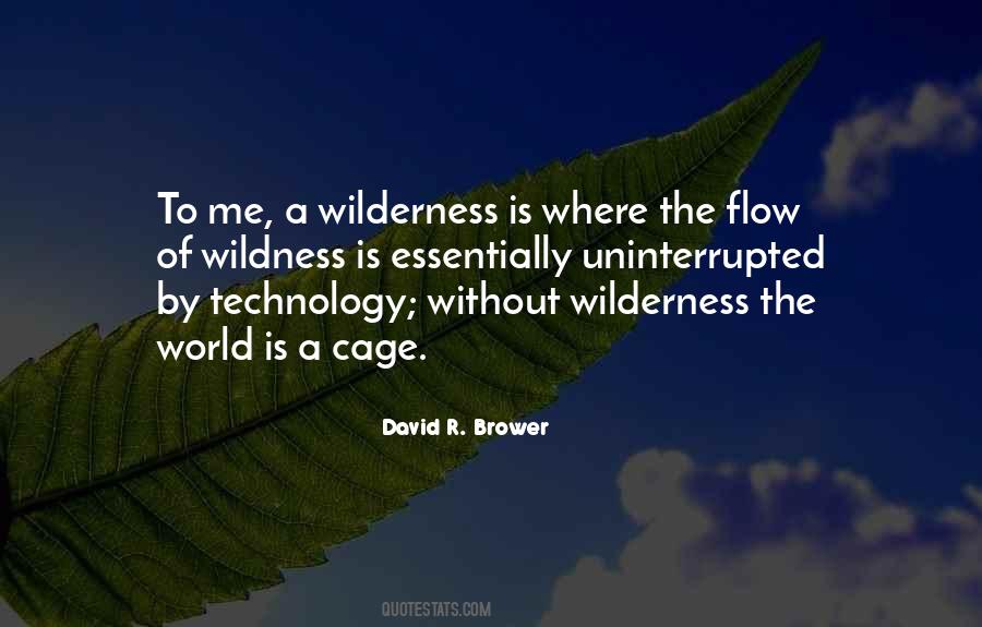 David R. Brower Quotes #1054324