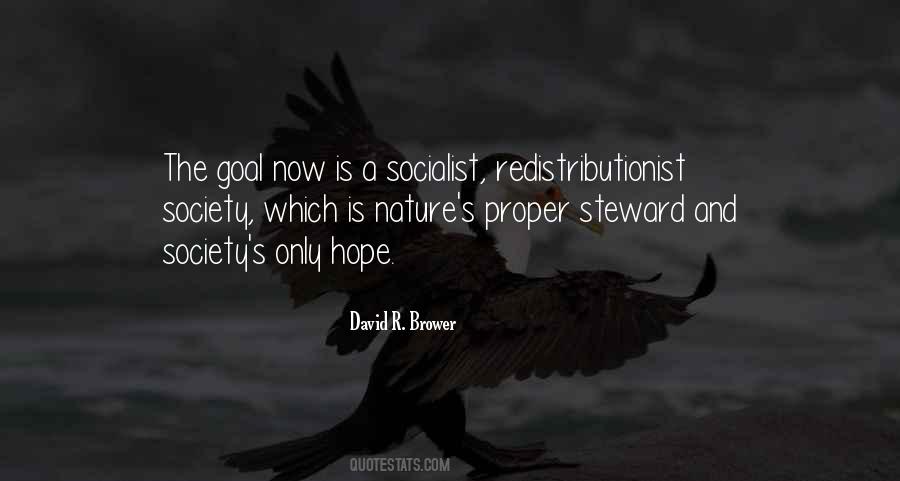 David R. Brower Quotes #1152492