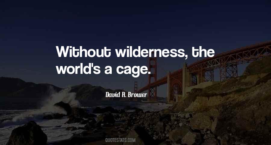 David R. Brower Quotes #1289196